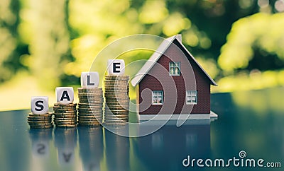 Concept for a house on sale. A hand holds a model house above a meadow. Dice form the word Stock Photo