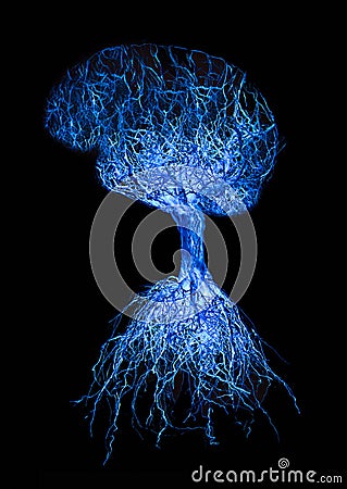 Concept human brain with blue glowing connection made from roots of tree on black background Stock Photo