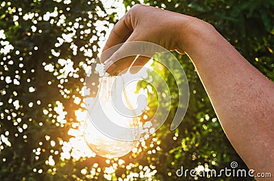 Concept idea hand hold light bulb solar energy Stock Photo