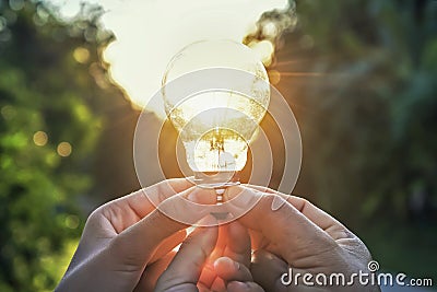 concept idea solar energy in nature three hand holding light bulb Stock Photo