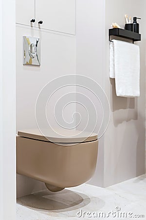 Modern ceramic toilet bowl with water tank hidden in wall Stock Photo