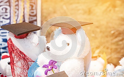 Concept of international graduate study, graduation black cap on Teddy bear wearing back hat at outdoor. Education certificate of Stock Photo