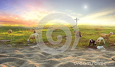 The cross of Jesus Christ on the flock of meadows Stock Photo