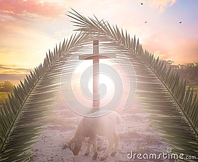 Concept of the Lamb of God: The Lamb in front of the Cross of God Stock Photo