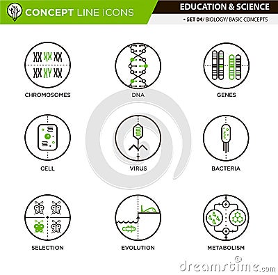 Concept Line Icons Set 4 Biology Vector Illustration