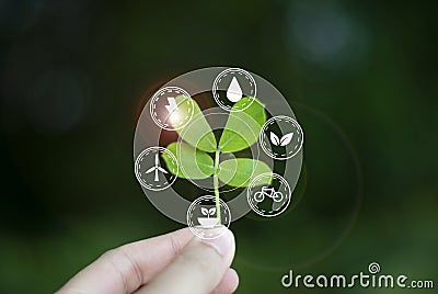 Concept of love, ecology world To sustainability Stock Photo