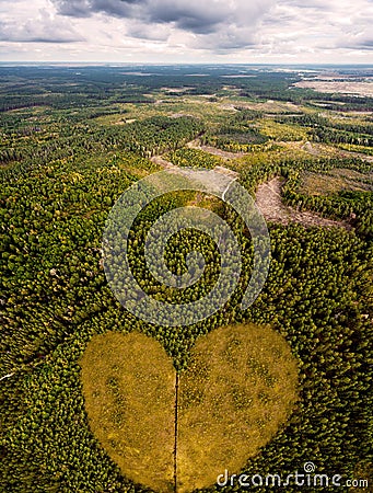 Concept of love to nature. Take care and enjoy the forest. Stock Photo