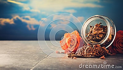 Concept of memory and reminiscence, symbolizing recollection, nostalgia, past experiences, reminiscing, and personal reflection Stock Photo