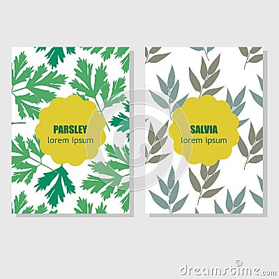 Concept for packing design with aromatic herbs and Vector Illustration