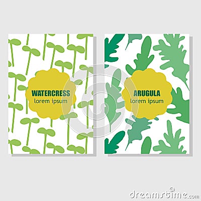 Concept for packing design with aromatic herbs and Vector Illustration