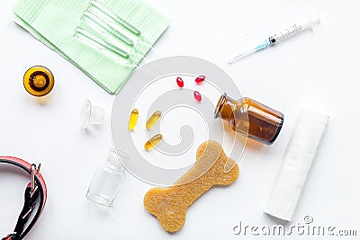 Concept pets care treatment on white background top view Stock Photo