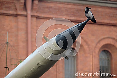 Concept photo of a crow sitting on the end of a military missile. A symbol of anxiety, war, peace. Anxious feelings about the fate Stock Photo