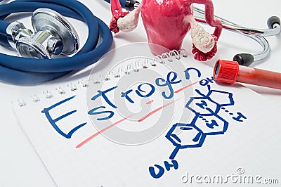 Concept photo of female sex hormone Estrogen and its level in body. Drawn chemical formula of estrogen lies beside anatomical shap Stock Photo