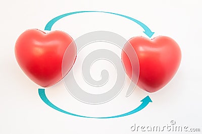 Concept photo of heart transplant. Two 3D anatomical heart shapes are reversed to direction of arrows. Illustration of heart trans Stock Photo