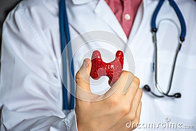 Concept photo of study or diagnosis in endocrinology. Doctor in white holds in his hand model of human thyroid gland, showing pati Stock Photo