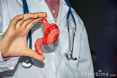 Concept photo of study or diagnosis in gastroenterology Stock Photo