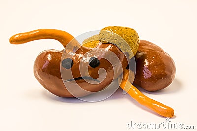 Concept photo of unhappy, sad kidneys organs with adrenal gland and ureters with sickness or disorder. Figure of kidneys with sad Stock Photo