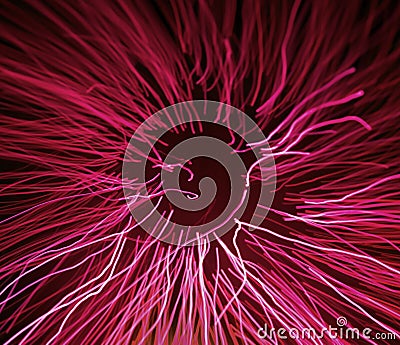 Concept of pink fiber optic light effect. Luminescent magenta sea anemone pattern. Closeup of bright neon electric Cartoon Illustration