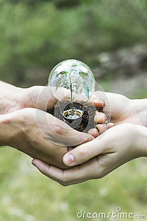 concept plant glass bulb Stock Photo