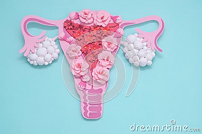 Concept polycystic ovary syndrome, PCOS. Copy space, women reproductive system Stock Photo