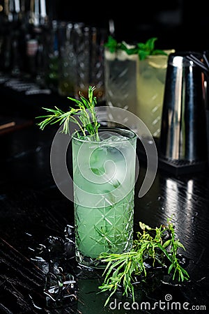 Concept refreshing summer drinks. Fresh cool lemonade tarragon with ice and citrus slices Stock Photo