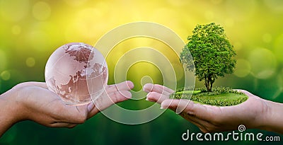 Concept Save the world save environment The world is in the hands of the green bokeh background In the hands of trees growing seed Stock Photo