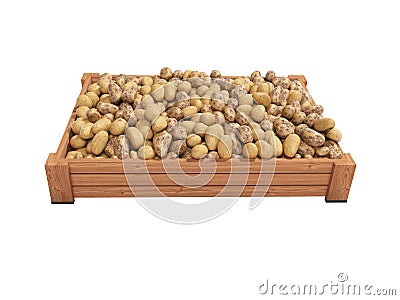 Concept selling ripe varietal potatoes in wooden box rear render on white background no shadow Stock Photo