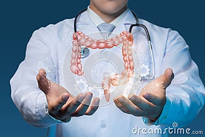 Concept of setting up and maintaining the digestive system of the body Stock Photo