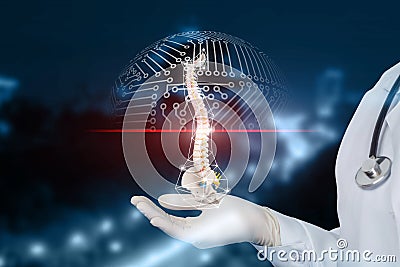 The concept of the study and scanning of the spine Stock Photo