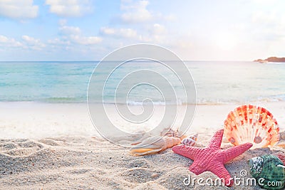 Concept of summertime on tropical beach Stock Photo