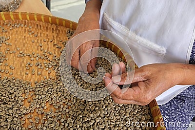 Concept THAI coffee beans , background texture , coffee bean for light roasted, medium roasted, dark roasted , Organic coffee Stock Photo