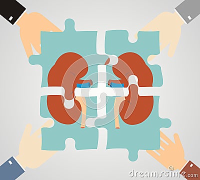 The concept of treating kidney. kidney composed of puzzle pieces Vector Illustration