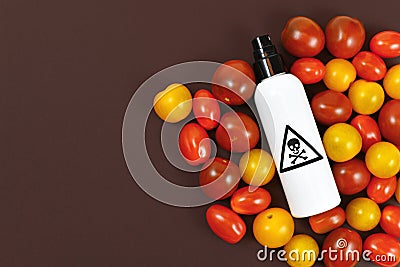 Concept for usage of dangerous pesticides in agricultural food products with tomatoes and spray bottle with warning label Stock Photo