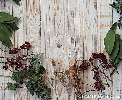 The concept of using medicinal dried herbs. Wooden white background with different medicinal herbs. Phytotherapy with herbs and Stock Photo