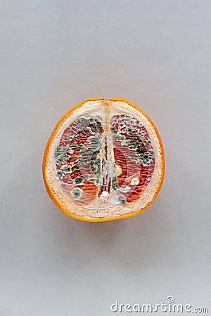 The concept of vaginal disease: venereal diseases, Vaginal yeast infection, Syphilis. Orange with mold on gray background Stock Photo