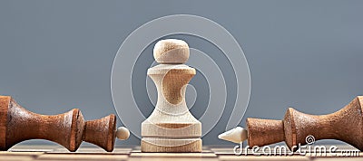 Concept of a victory and loss. The white pawn defeated the black chess king and Queen Stock Photo