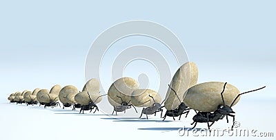 concept work, team of ants Stock Photo