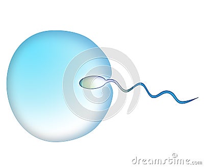 Conception Stock Photo