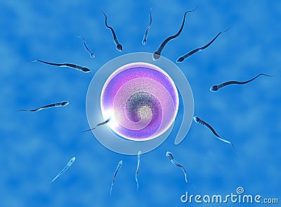 Conception ovule and sperm Stock Photo