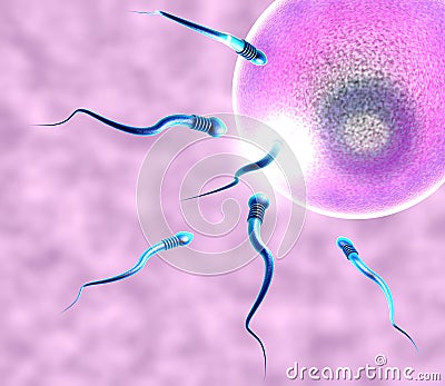 Conception ovule and sperm Stock Photo
