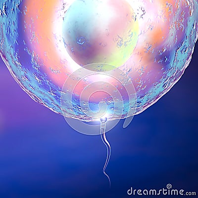 Conception ovum and sperm Stock Photo