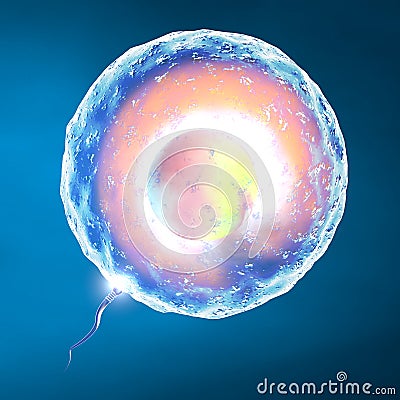 Conception ovum and sperm Stock Photo