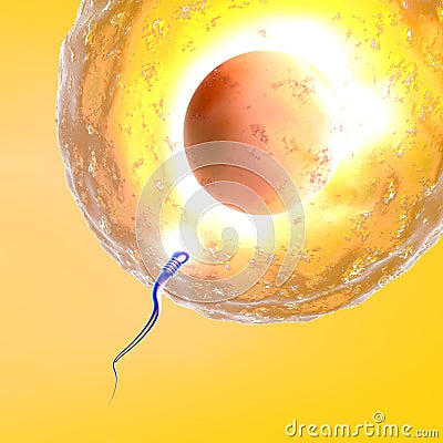 Conception ovum and sperm Stock Photo