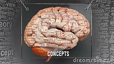 Concepts in human brain Stock Photo