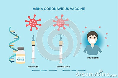 Concepts of mRNA vaccine for coronavirus protection Vector Illustration