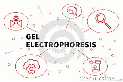 Conceptual business illustration with the words gel electrophoresis Cartoon Illustration