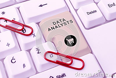 Conceptual caption Data Analysts. Business concept Programmer Design and Create Report Identifies patterns Stock Photo