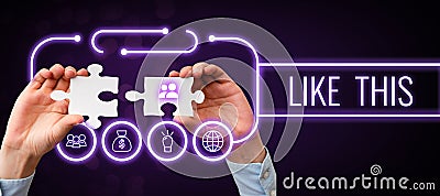 Conceptual caption Like This. Business overview An action refering to something that needs to do the same as it is Stock Photo