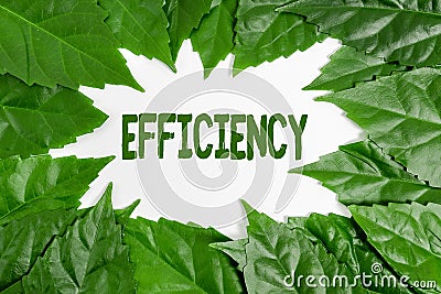 Conceptual display Efficiency. Conceptual photo ability to prevent a waste of resources energy money and time Nature Stock Photo