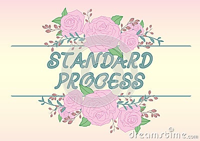 Conceptual display Standard Process. Business approach rules made to be matched with final product quality Frame Stock Photo